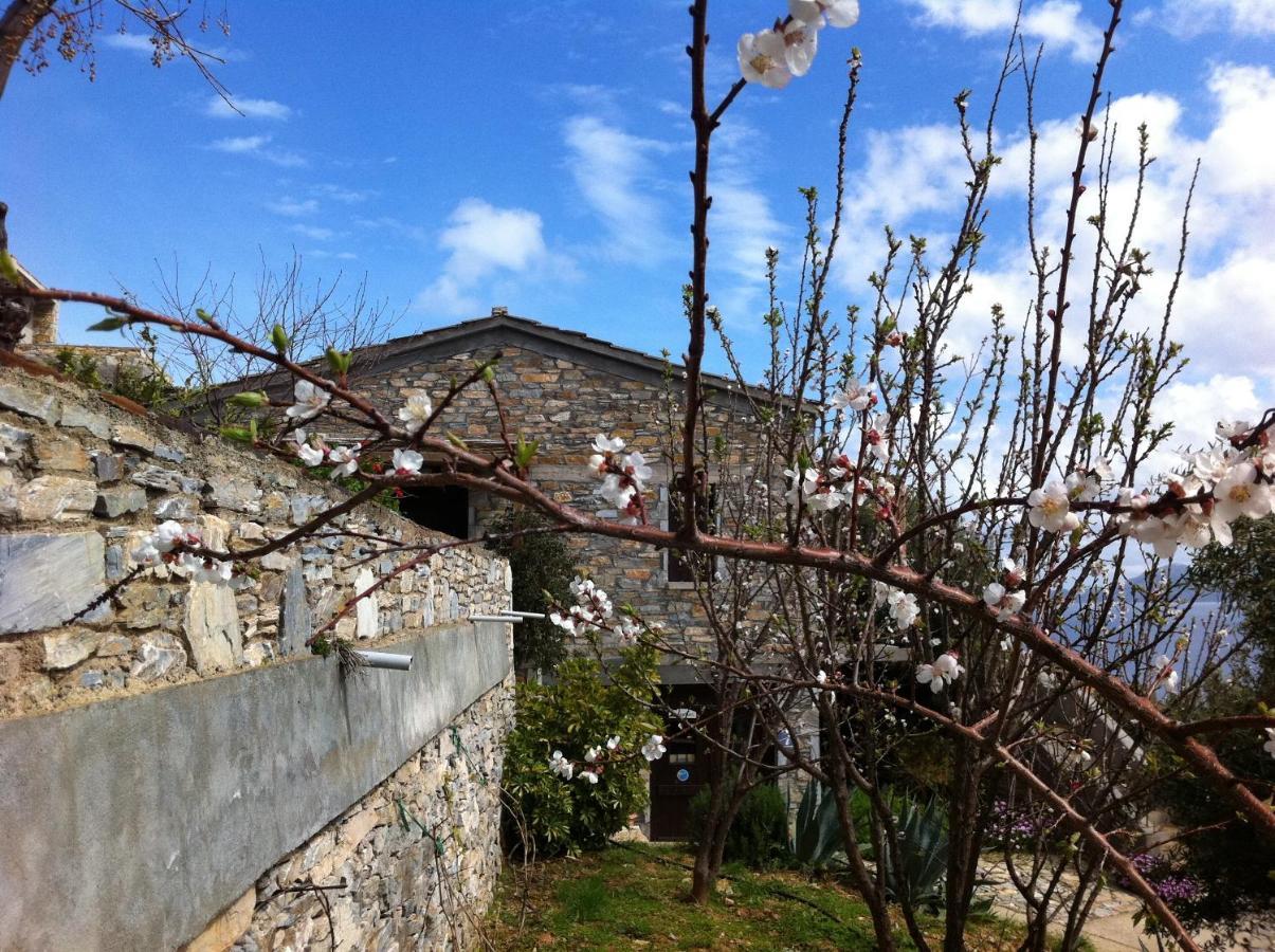 Pyrgos Traditional Village Агіос-Кірікос Екстер'єр фото